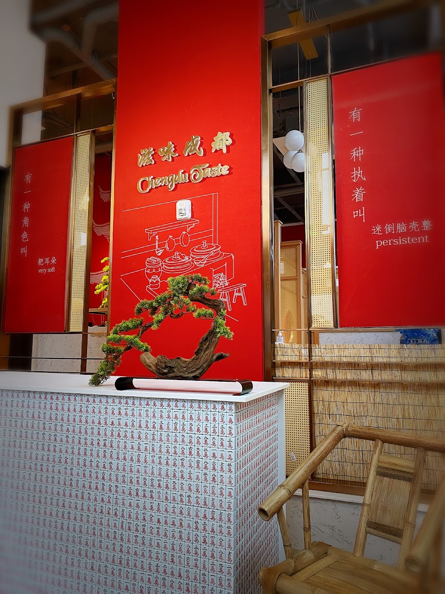 Chengdu Taste 滋味成都
